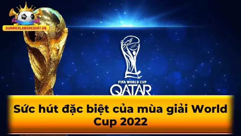 Sức hút đặc biệt của mùa giải World Cup 2022